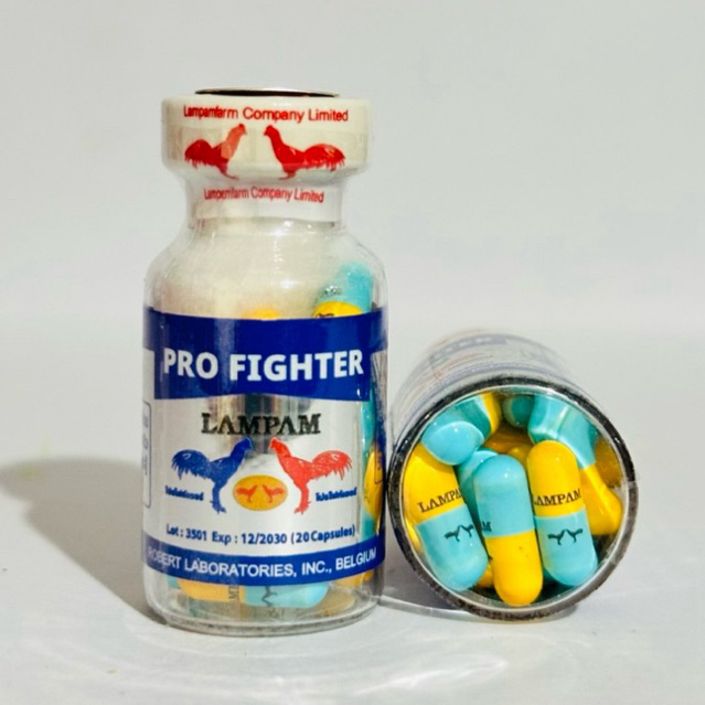 อาหารเสริมเลี้ยงโปรไฟท์เตอร์ Pro fighter ระยะสั้น 5-7 วัน