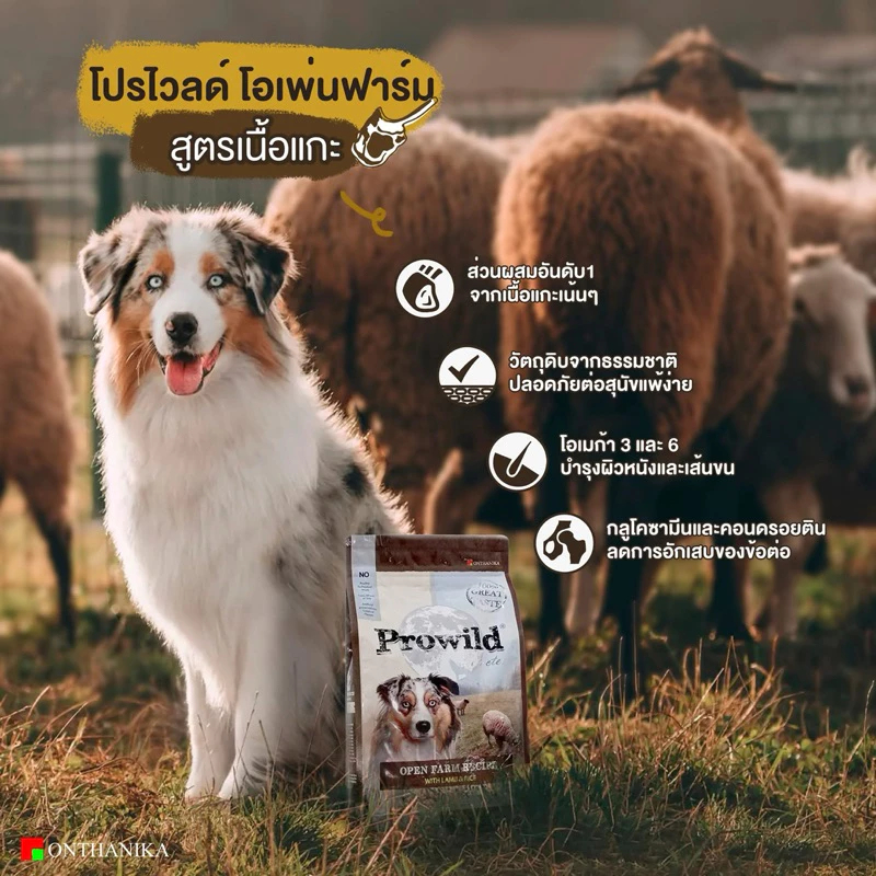 Prowild โปรไวลด์ อาหารสุนัข ขนาด 15 kg อาหารเกรด Holistic เหมาะสำหรับทุกสายพันธ์และทุกช่วงวัย รูปที่ 8