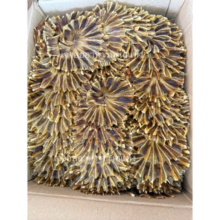 ปลากระเบนวงจืดตากแห้ง ไม่เค็ม ทอดกรอบอร่อย เนื้อแน่น รสชาติกลมกล่อม 250 กรัม 500 กรัม