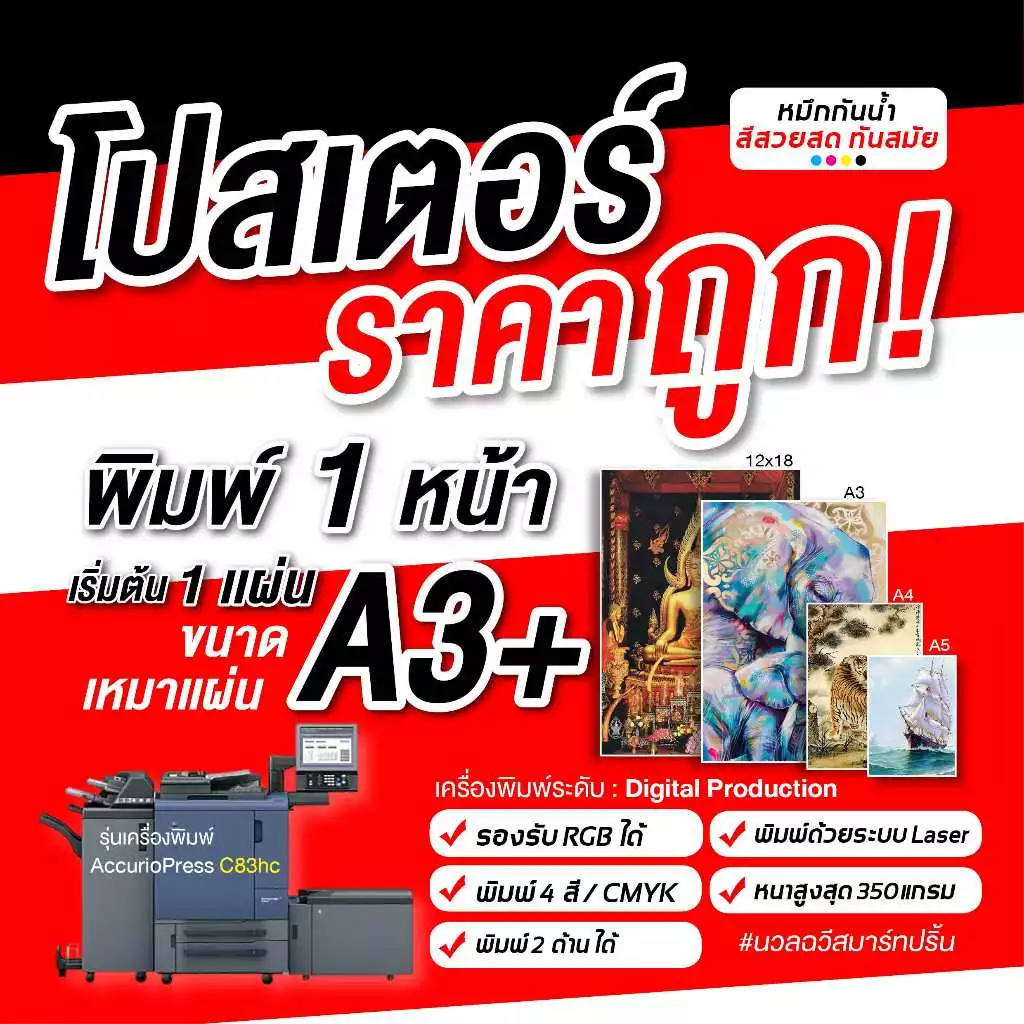 โปสเตอร์พิมพ์สำเร็จ1ด้าน ขนาด A3+,A3,12x18" หนา250g-350g ภาพโฟโต้ โบว์ชัวร์ (ส่งภาพเร็วผลิต1-3วัน)