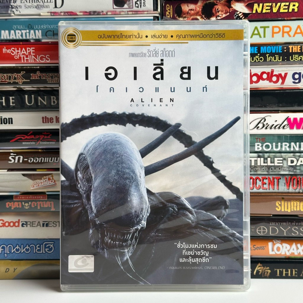 รูปภาพ 5