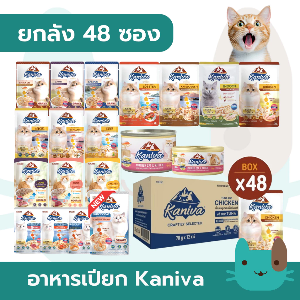 (ยกลัง) Kaniva อาหารเปียกแมวคานิว่า 48 ซอง กรดพรีเมี่ยม ผสมวิตามินบอล ไม่เติมเกลือ มีโปรตีนสูง