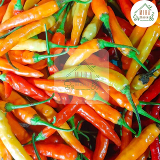 เมล็ดพันธุ์พริกกระเหรี่ยง 10 เมล็ด