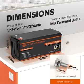 CST LiFePO4 Battery แบตลิเธียม 24V 12V 100Ah พร้อมบลูทูธ 15000 รอบ โซล่าเซลล์ BMS 100A รับประกัน 6 ปี