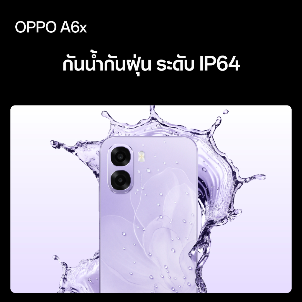 รูปภาพ 6