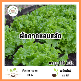ผักกาดหอมสลัด 100 เมล็ด