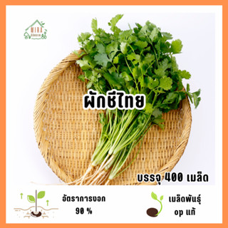 เมล็ดพันธุ์ผักชีไทย 400 เมล็ด (10กรัม)