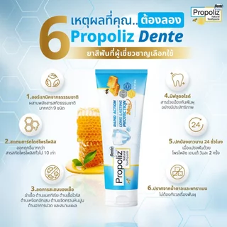 PROPOLIZ DENTE TOOTHPASTE ยาสีฟัน โพรโพลิซ เดนเต้ (ขนาด 100 กรัม)