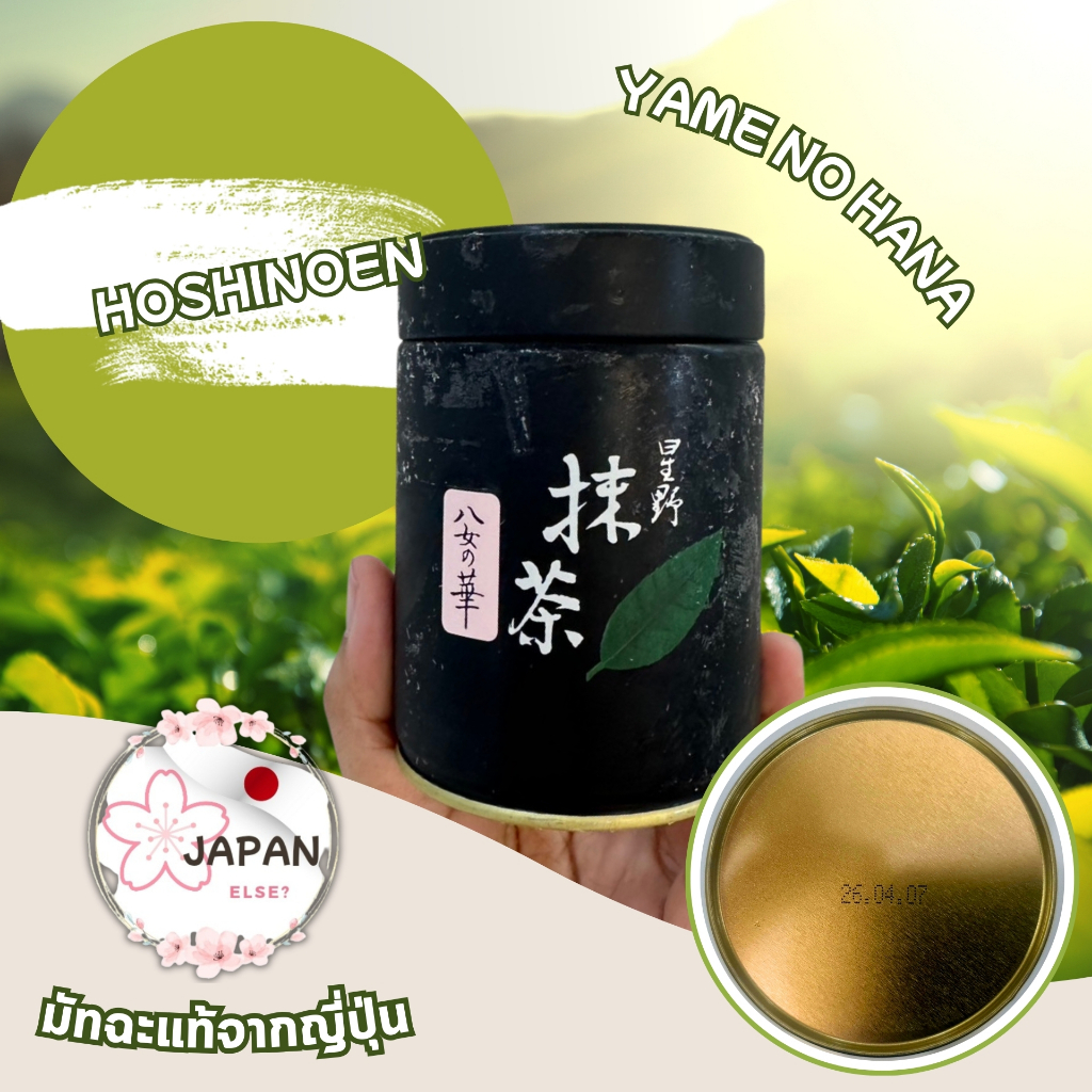 หมดอายุ เดือน 3 ปี2026 พร้อมส่ง ไม่ต้องรอพรี Matcha Hoshinoen Yame no hana 100g