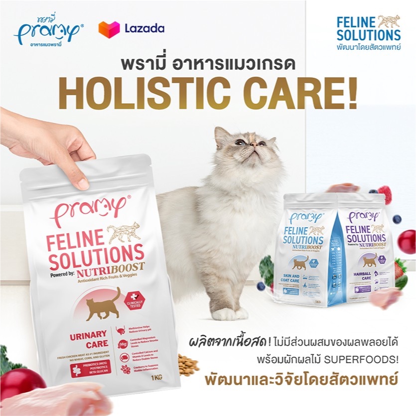 Pramy Feline Solutions อาหารแมวแมวโต บำรุงขนและผิวหนัง 1kg
