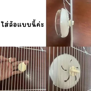 เพิ่มสี/ไซด์ จักรวิ่ง ล้อปั่น ล้อวิ่งแฮมเตอร์ สัตว์เล็ก ของเล่นแฮมเตอร์ Small Pet
