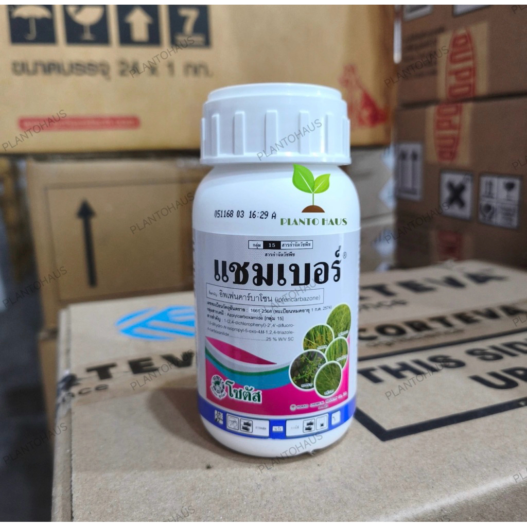 แชมเบอร์ โซตัส ใหม่มาก 11/68 อิพเฟนคาร์บาโซน กำจัดวัชพืช กกขนาก กกทราย หนวดปลาดุก 250มล.