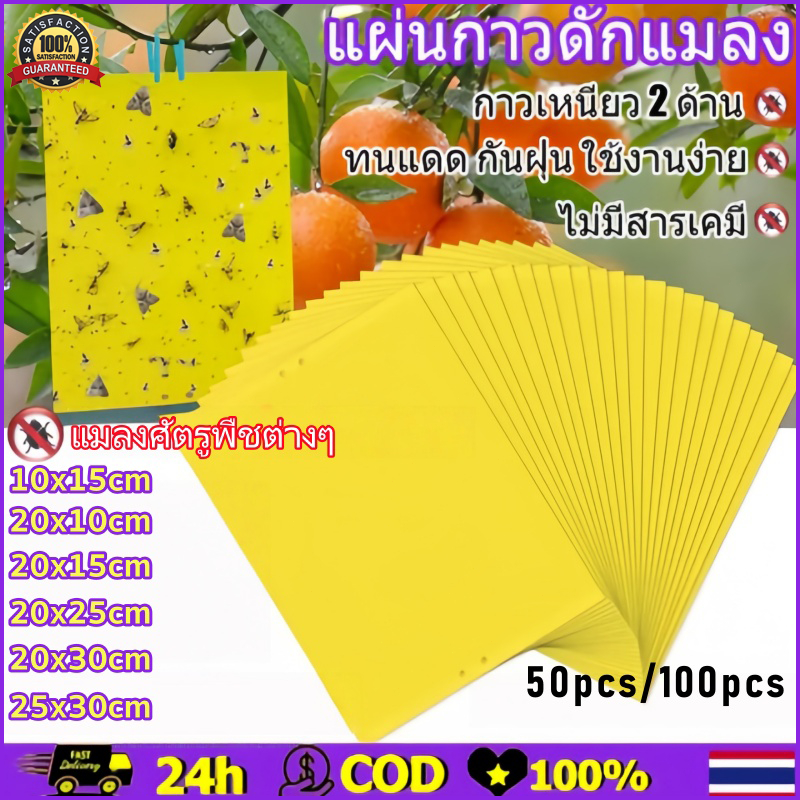 ส่งไว(บรรจุ 50/100แผ่น) แผ่นกาวดักแมลง (20x25 cm) กาวเหนียว 2 ด้าน กาวดักแมลงวันทอง เหนียว ทนแดด