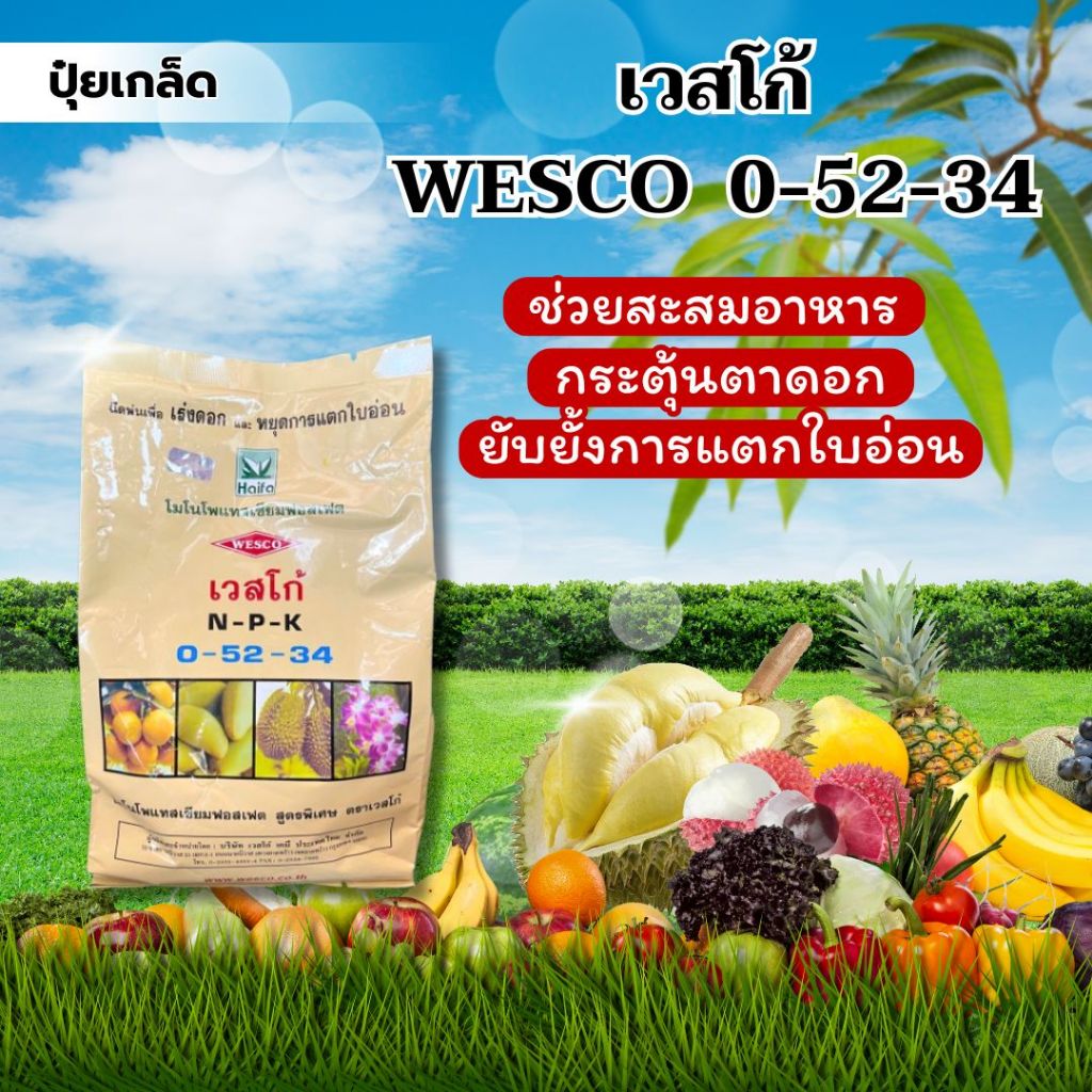 ปุ๋ยเกล็ด เวสโก้ WESCO 0-52-34 (1000G) ช่วยสะสมอาหาร กระตุ้นตาดอก ยับยั้งการแตกใบอ่อน