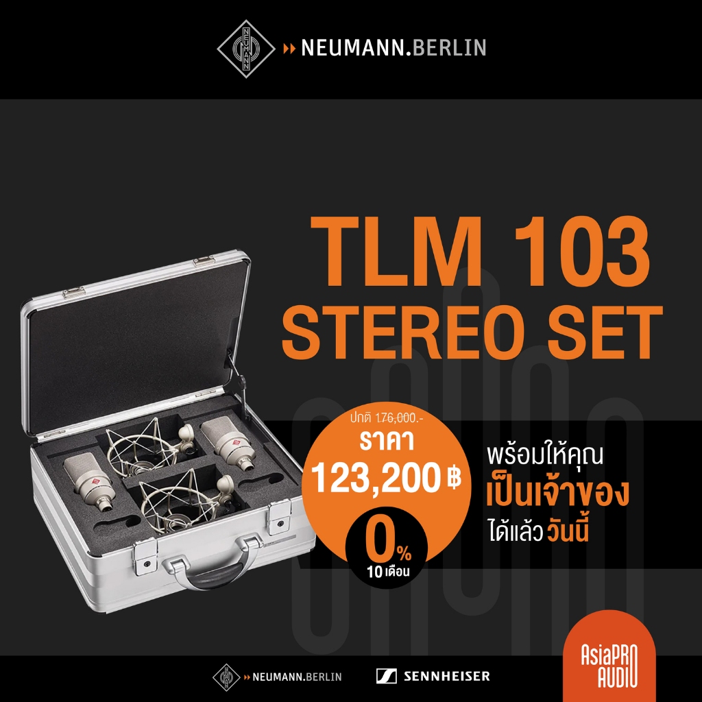 NEUMANN TLM 103 Stereo Set (สี Nickel)