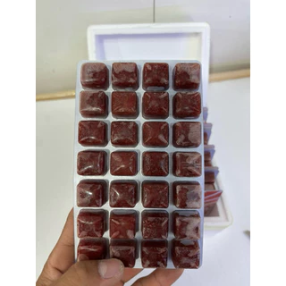 (ส่งด่วนภายใน1วันถึง )อาหารสดแช่แข็งหนอนแดงแช่แข็งยี่ห้อ fuji ขาย10 แพ็ค 1แผ่นมี 28 หลุม
