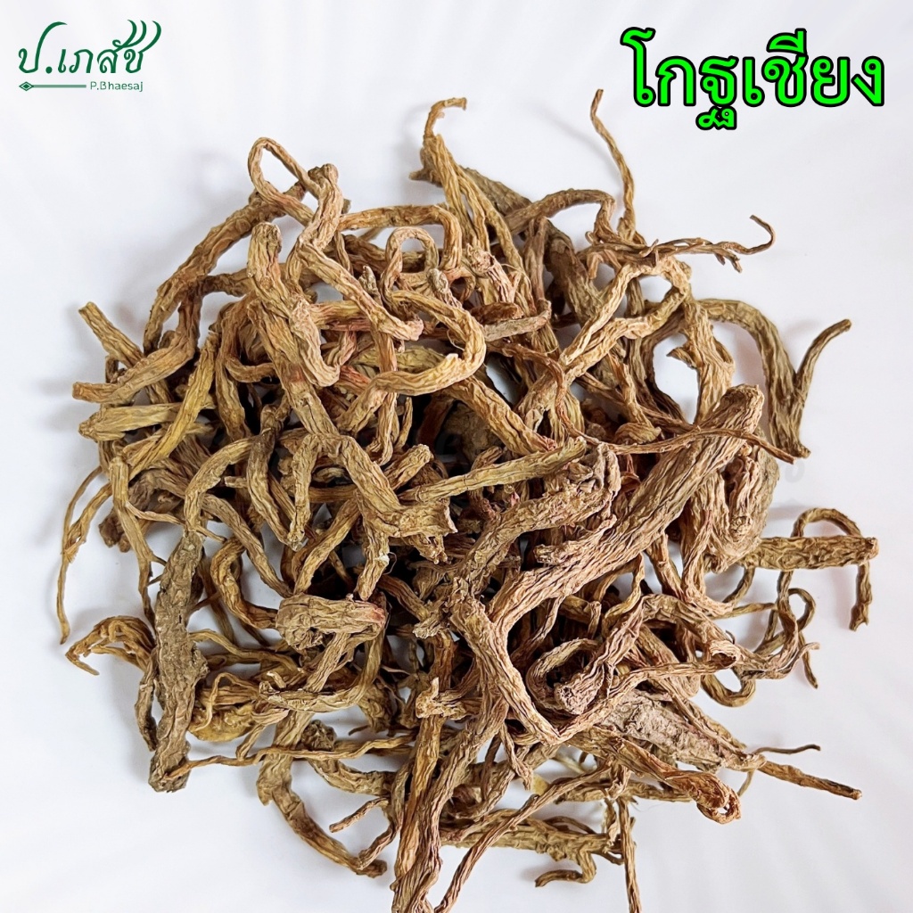 โกฐเชียง [50 / 100 กรัม] ตังกุยเหว่ย์, 当归尾, Chinese Angelica, Angelica sinensis