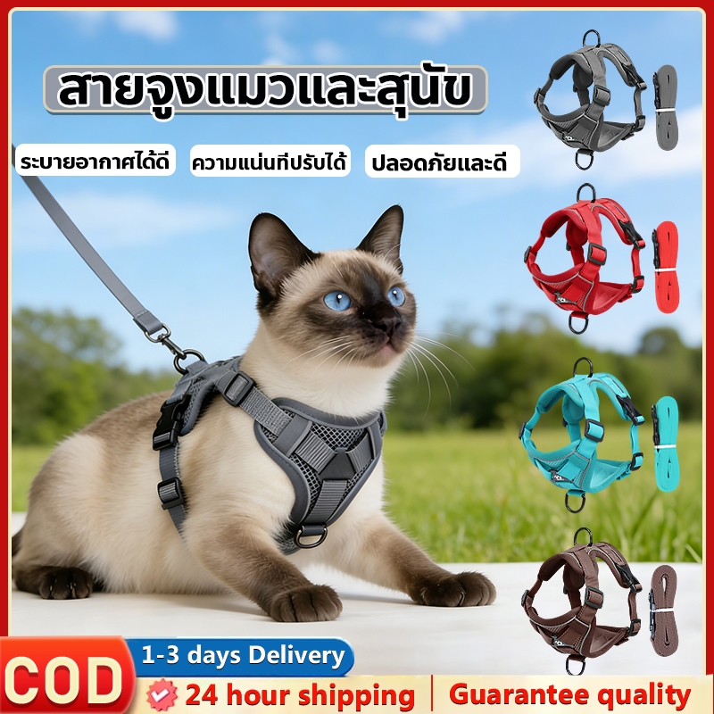สายจูงแมวสัตว์เลี้ยง สายจูงแมว สายจูงสุนัขแบบปรับได้ ระบายอากาศได้ดี ป้องกันการคลายตัว สามารถปรับได้ สําหรับสัตว์เลี้ยง
