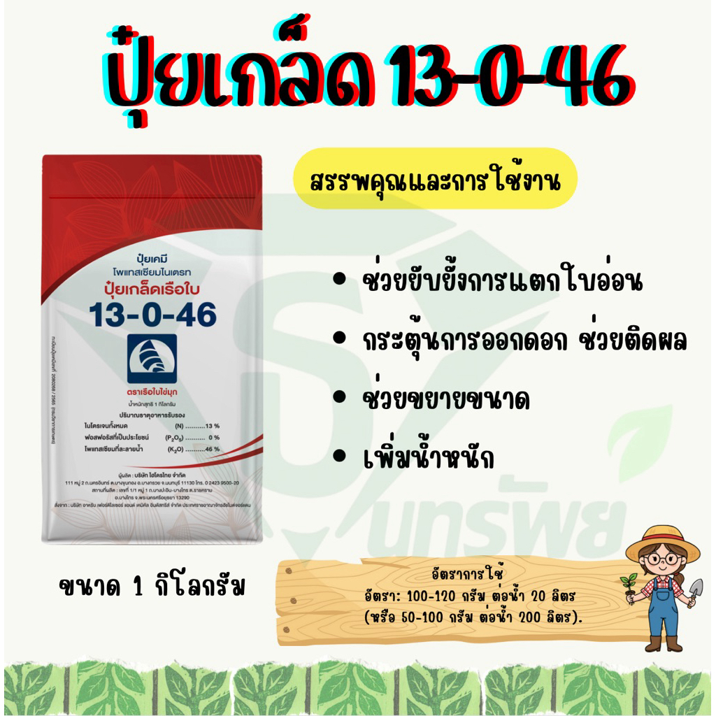 ปุ๋ยเกล็ดเรือใบ 13-0-46 🍀1 kg🍀 สูตรชักนำการออกดอกเร่งสะสมอาหาร(1ลังมี20ถุง)