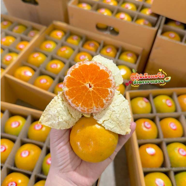 รูปภาพ 3