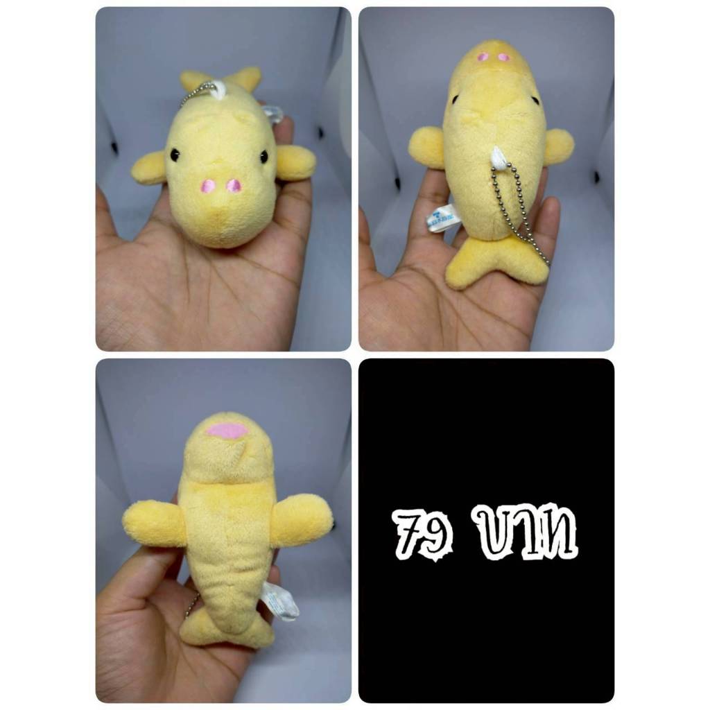 Dugong#ดักก์กง#พะยูน#วัวทะเล#Dugong dugon#งานพวงญี่ปุ่นมือสอง