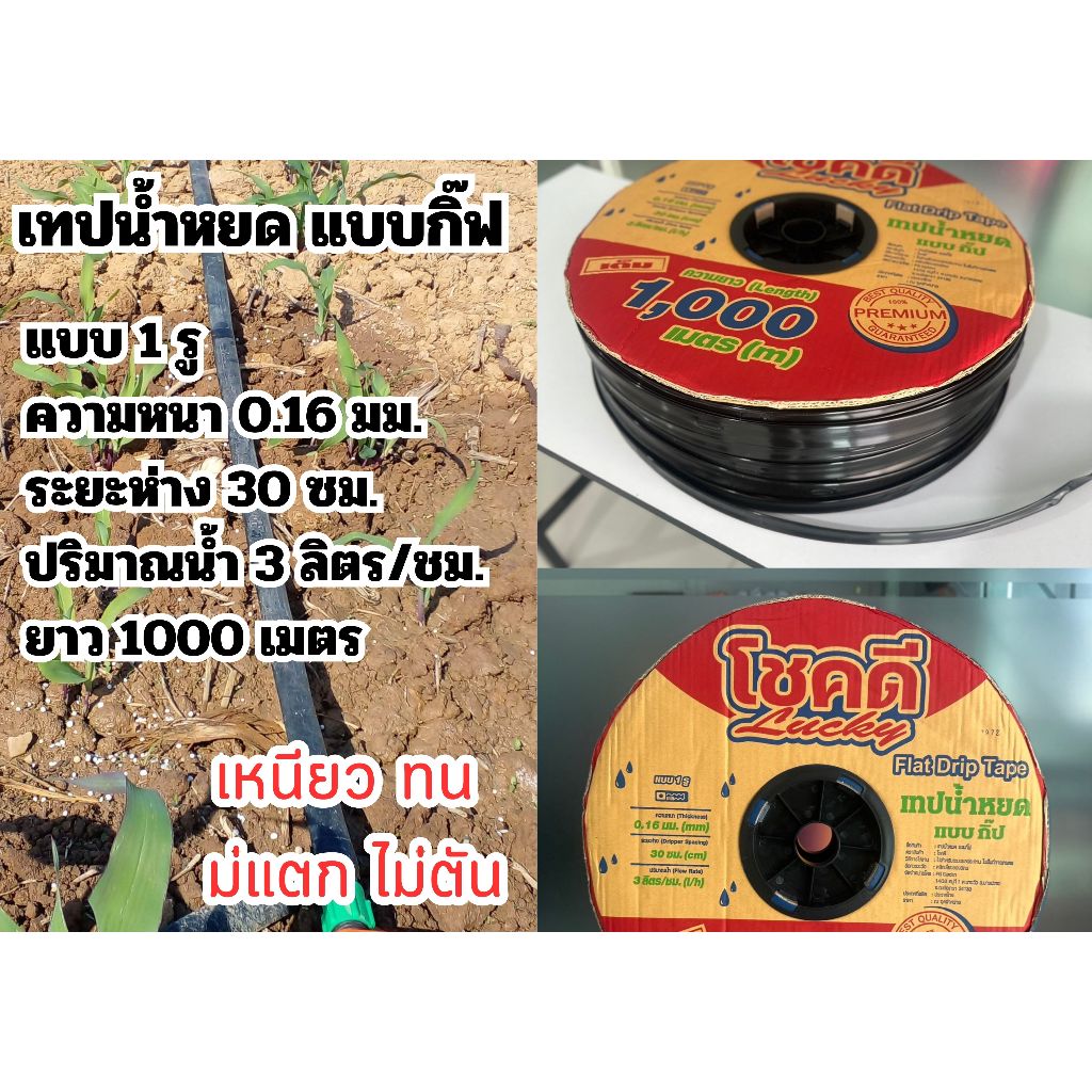 เทปน้ำหยด ตรา โชคดี 1000 เมตร