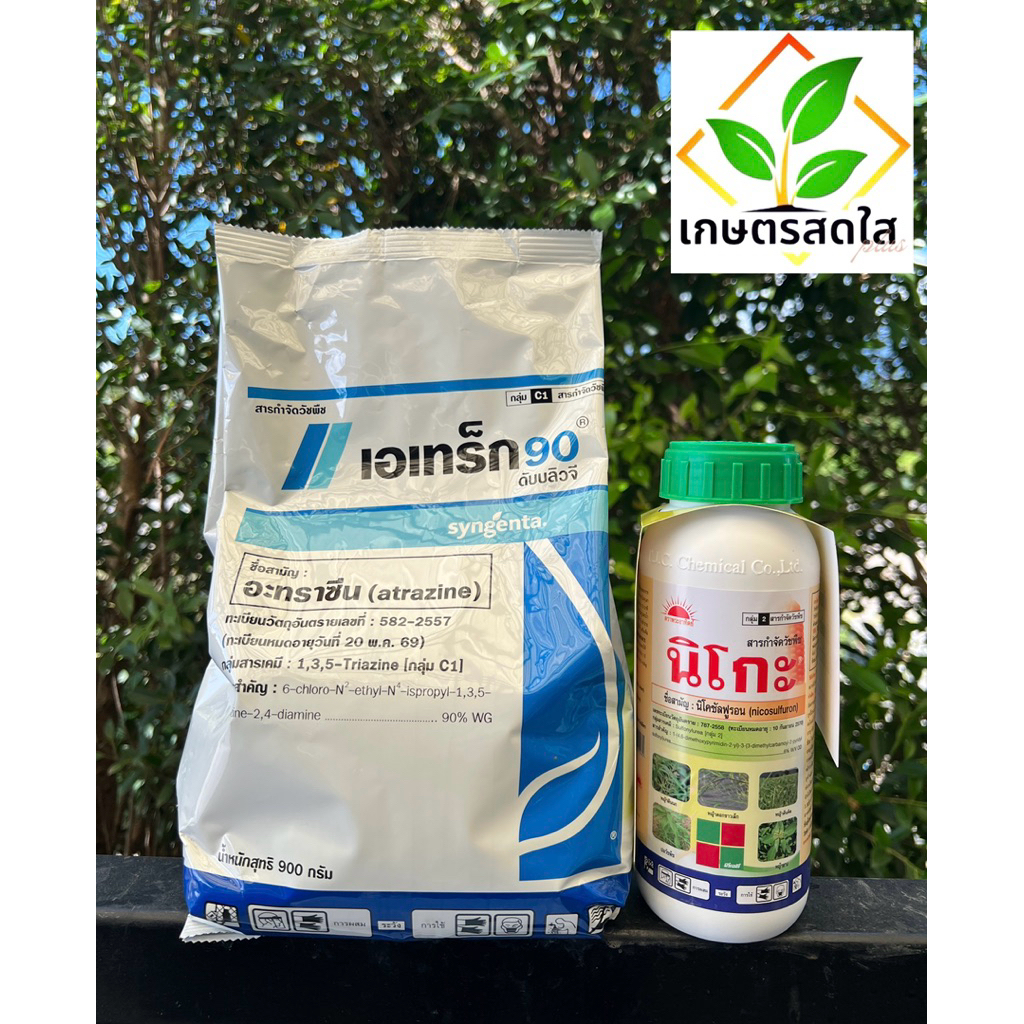 🌽 นิโกะ + เอเทร็ก 90 WG *ขนาด 500 ซีซี+900 กรัม 💥 ยาคุม-ฆ่าวัชพืชในไร่ข้าวโพด |1 ชุด ฉีดได้ 5 ไร่ |