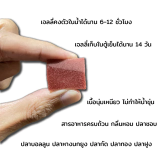 AQUA JELL อาหารปลาเจลลี่ เหนียว นุ่ม หนึบ น้ำไม่ขุ่น เร่งโต เร่งสี ขับลม