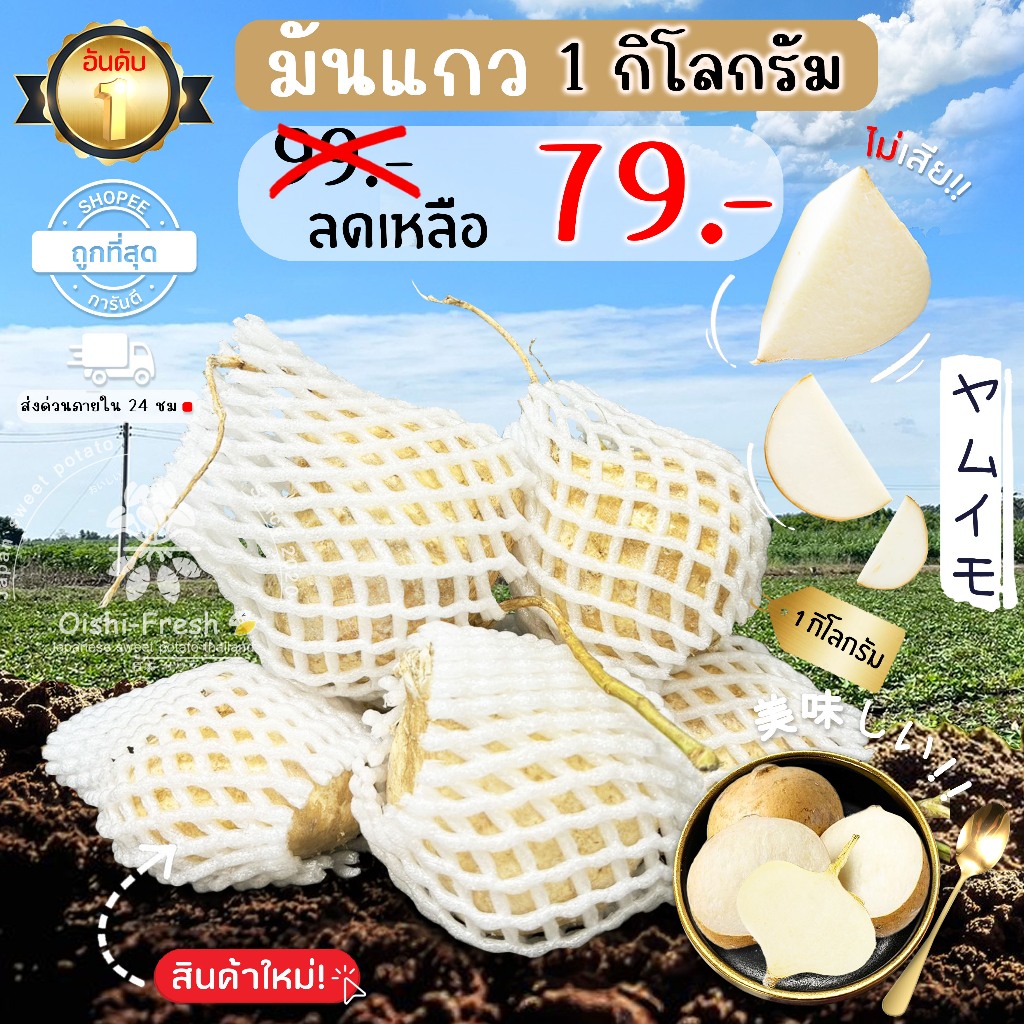 🛒Oishi-Fresh🥬มันแกว ปลอดสารพิษ 1 กก. รสชาติกรอบ สด ใหม่ ใยอาหารสูง หวานออร์แกนิค เคลมได้ 1-2 วัน