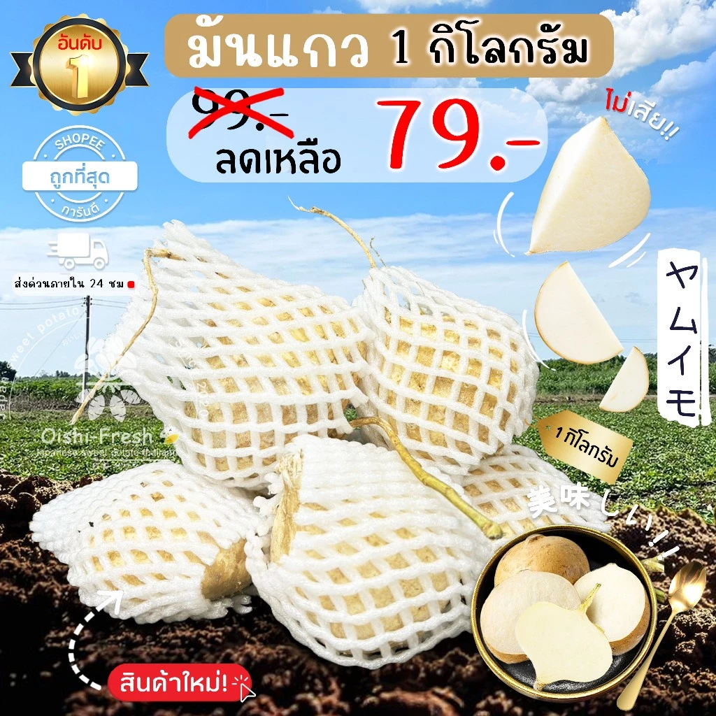 🛒Oishi-Fresh🥬มันแกว ปลอดสารพิษ 1 กก. รสชาติกรอบ สด ใหม่ ใยอาหารสูง หวานออร์แกนิค เคลมได้ 1-2 วัน