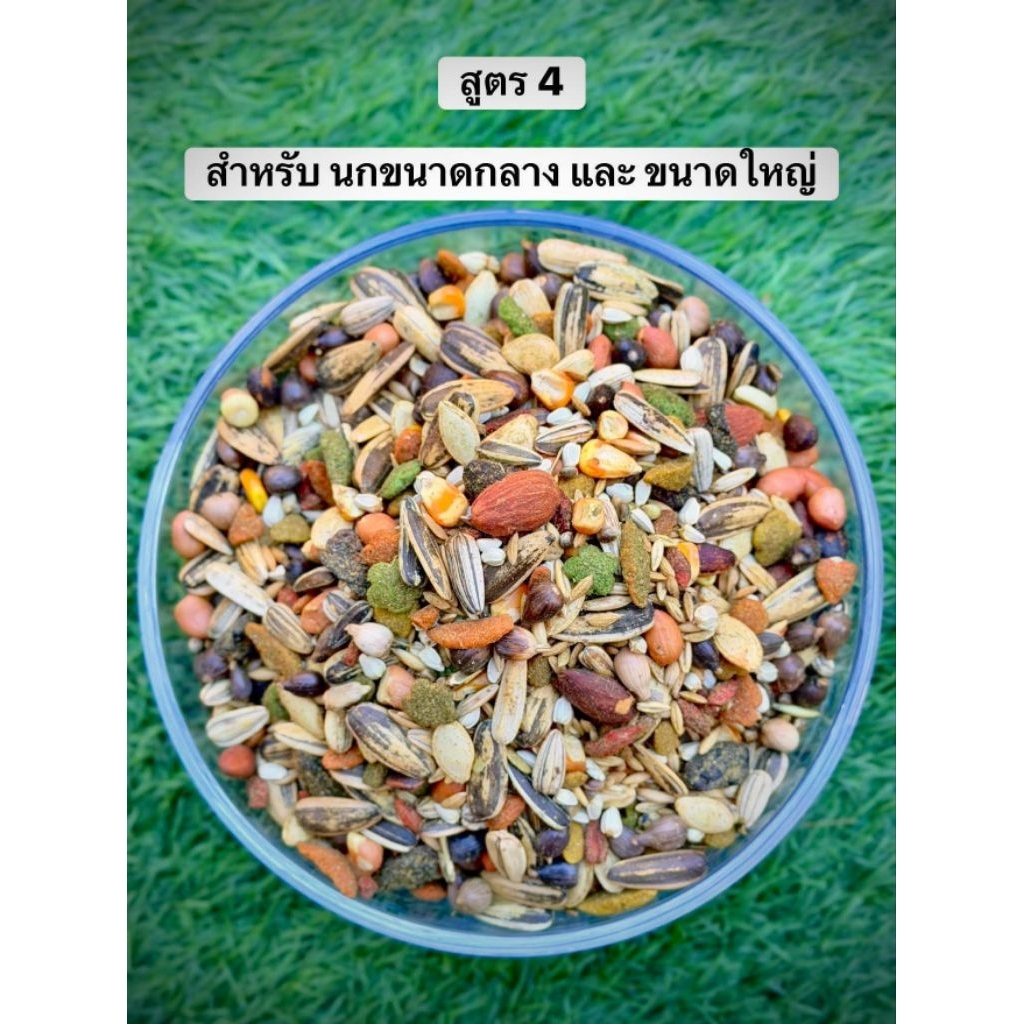 อาหารนกสูตรเฮียฮะ มหาชัย ธัญพืชรวม 27 ชนิด คลุกด้วยน้ำมันสกัดเย็น 8 ชนิด และคลุกวิตามินต่างๆที่ครบถ้วน ของแท้💯 - รูปที่ 6