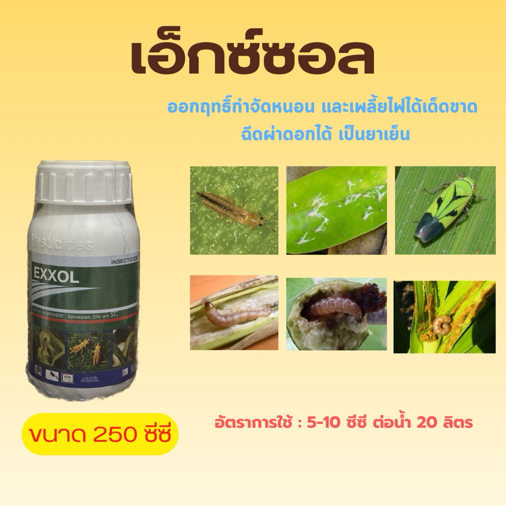 เอ็กซ์ซอล 250 cc (สไปนีโทแรม)