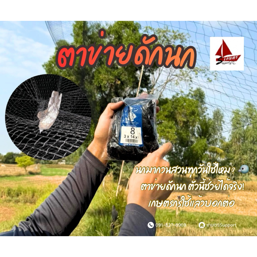 ตาข่ายดักนก เรด้านก  ตราหงส์  เบอร์ 3-10