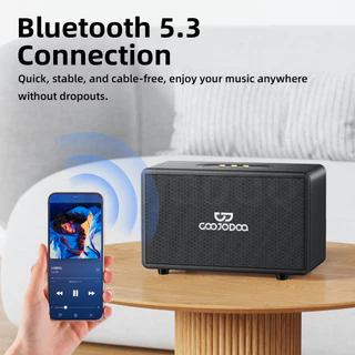 GOOJODOQ Portable Retro Speaker Bluetooth 5.3 connection 4 Playback Modes Two Wireless Microphones