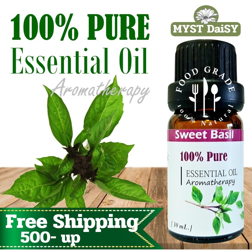 [10 mL.] Food Grade 100%Pure Essential Oil น้ำมันหอมระเหยโหระพา(Sweet Basil) บริสุทธิ์100%ไม่ผสม (ไม่ใช่กลิ่นสังเคราะห์)