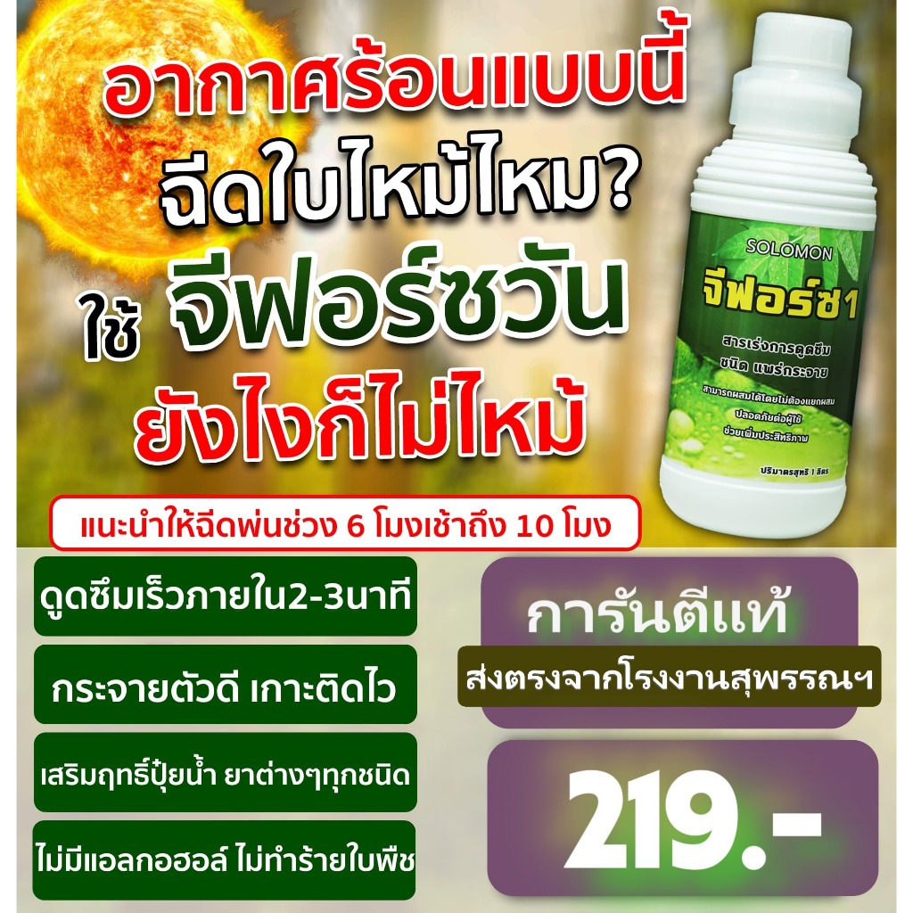 จีฟอร์ซวัน สารจับใบของแท้ เร่งการดูดซึม จับใบ  ไม่ทำร้ายใบพืช ส่งตรงจากโรงงานสุุุพรรณบุรี ขนาด1ลิตร