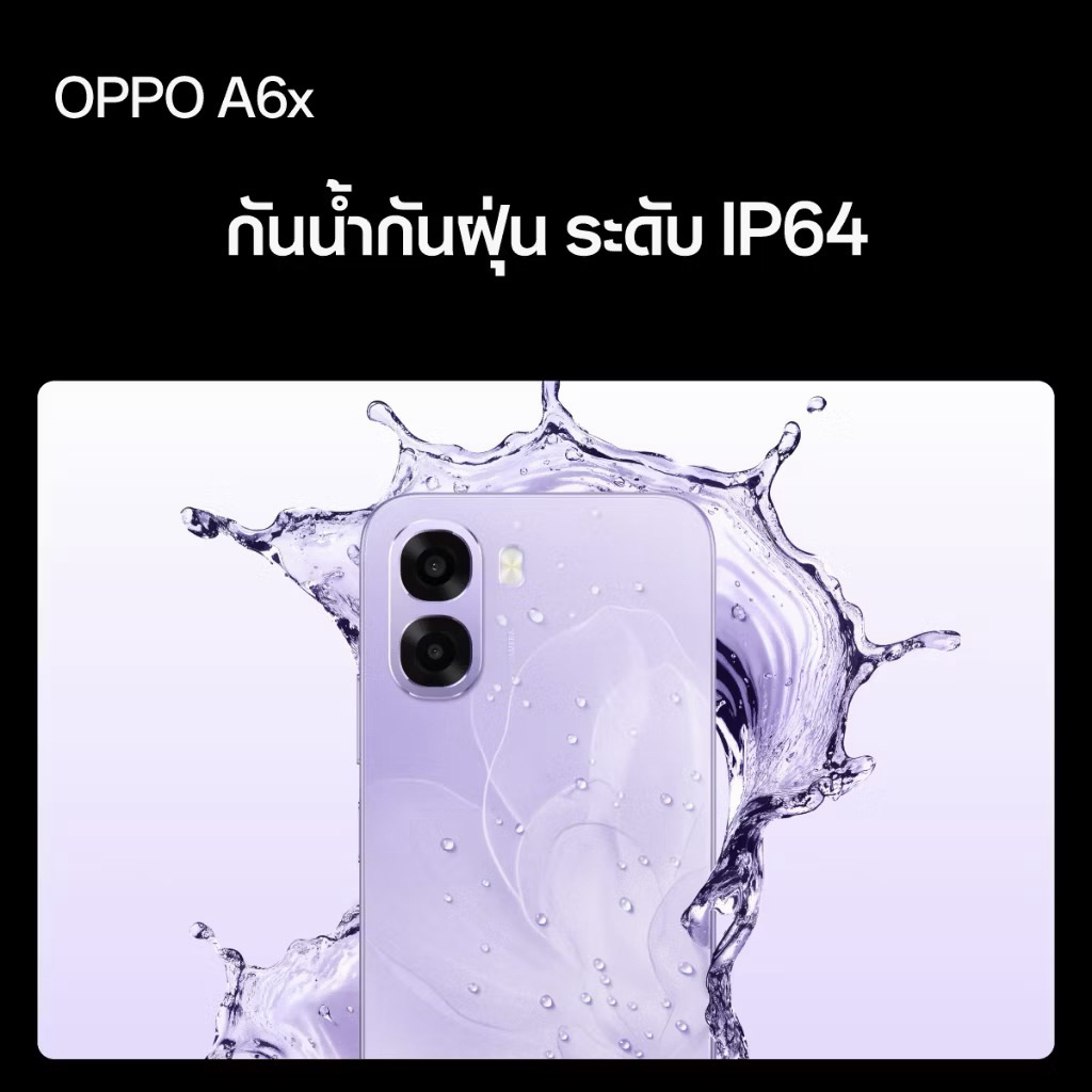 รูปภาพ 4