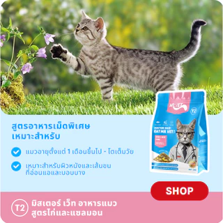 [3 pack] Mrvet อาหารแมว T1 T2 T3 T4 อาหารแมวเปียก ชุดโภชนาการเต็มปแบบ การผสมผสานพิเศษ ราคาถูก