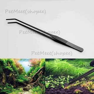 ถูก🎉ฟอร์เซป forceps แสตนเลส ขนาด 27/38cm ปลายตรงและงอ คีบใช้งานง่าย ทนทาน ปลา forcep กรรไกร ที่เขี่ยปาดดิน