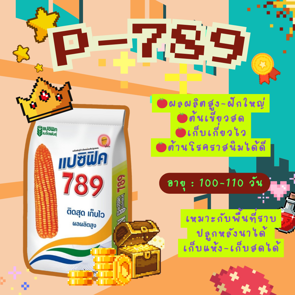 เมล็ดพันธุ์ข้าวโพด แฟซิฟิค 789 ขนาด 10 กก. และ 5 กก. ฝักใหญ่ เมล็ดสีสวย 👉อ่านรายละเอียดก่อนสั่งซื้อ