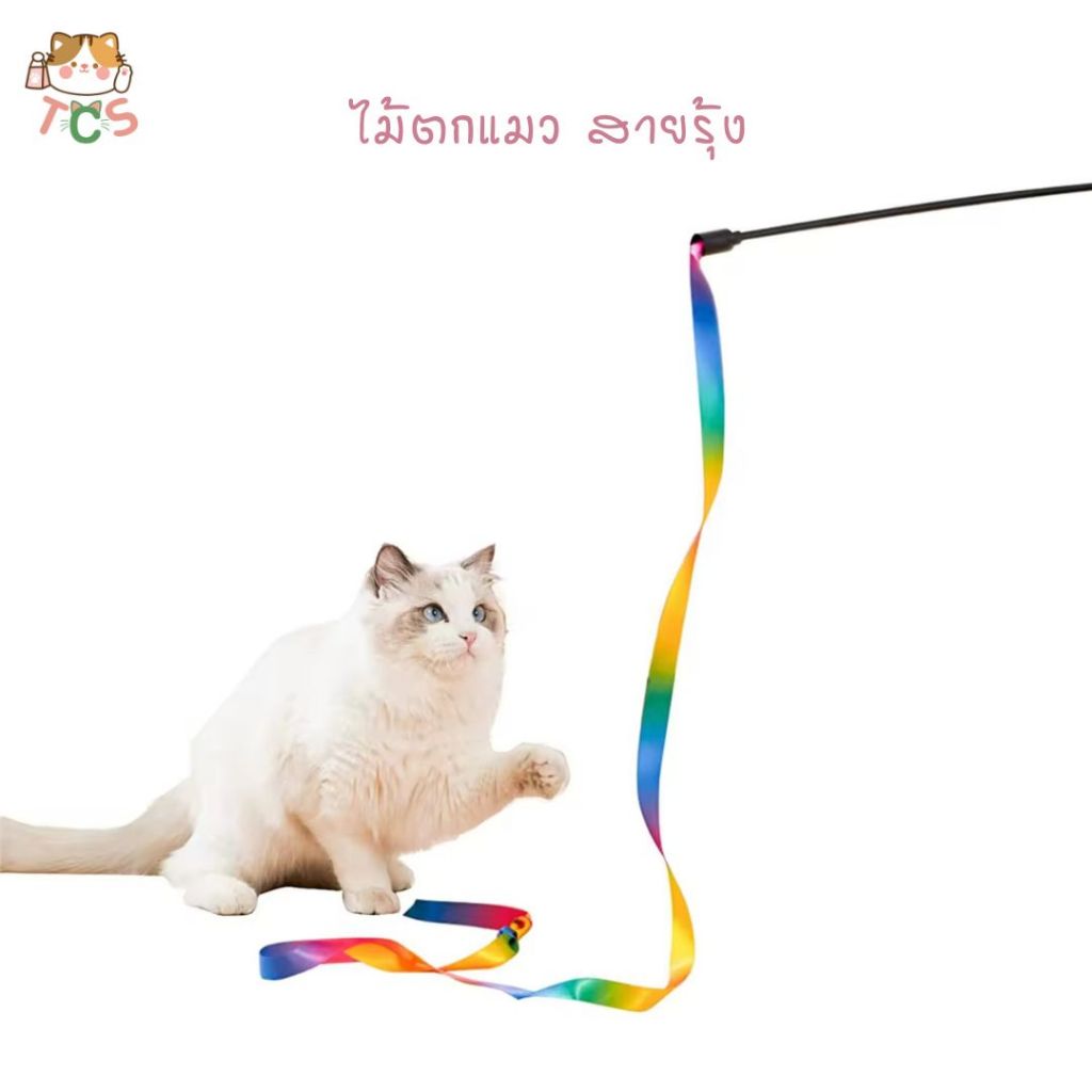 TCS ไม้ตกแมว สายรุ้ง ไม้ล่อแมว ของเล่นแมว ให้สัตว์เลี้ยงได้ออกกำลังกาย