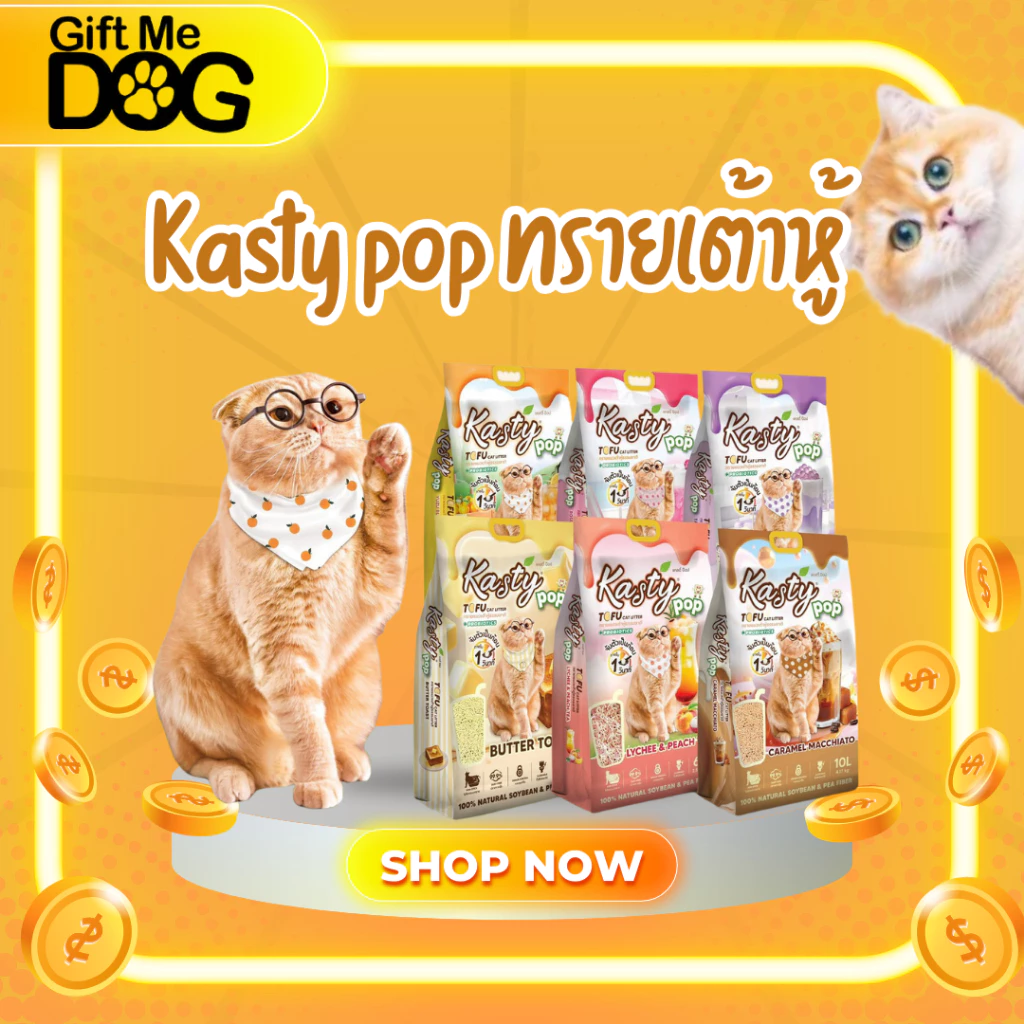 Kasty Pop ทรายเต้าหู้ แคสตี้ ป็อป สูตรใหม่
