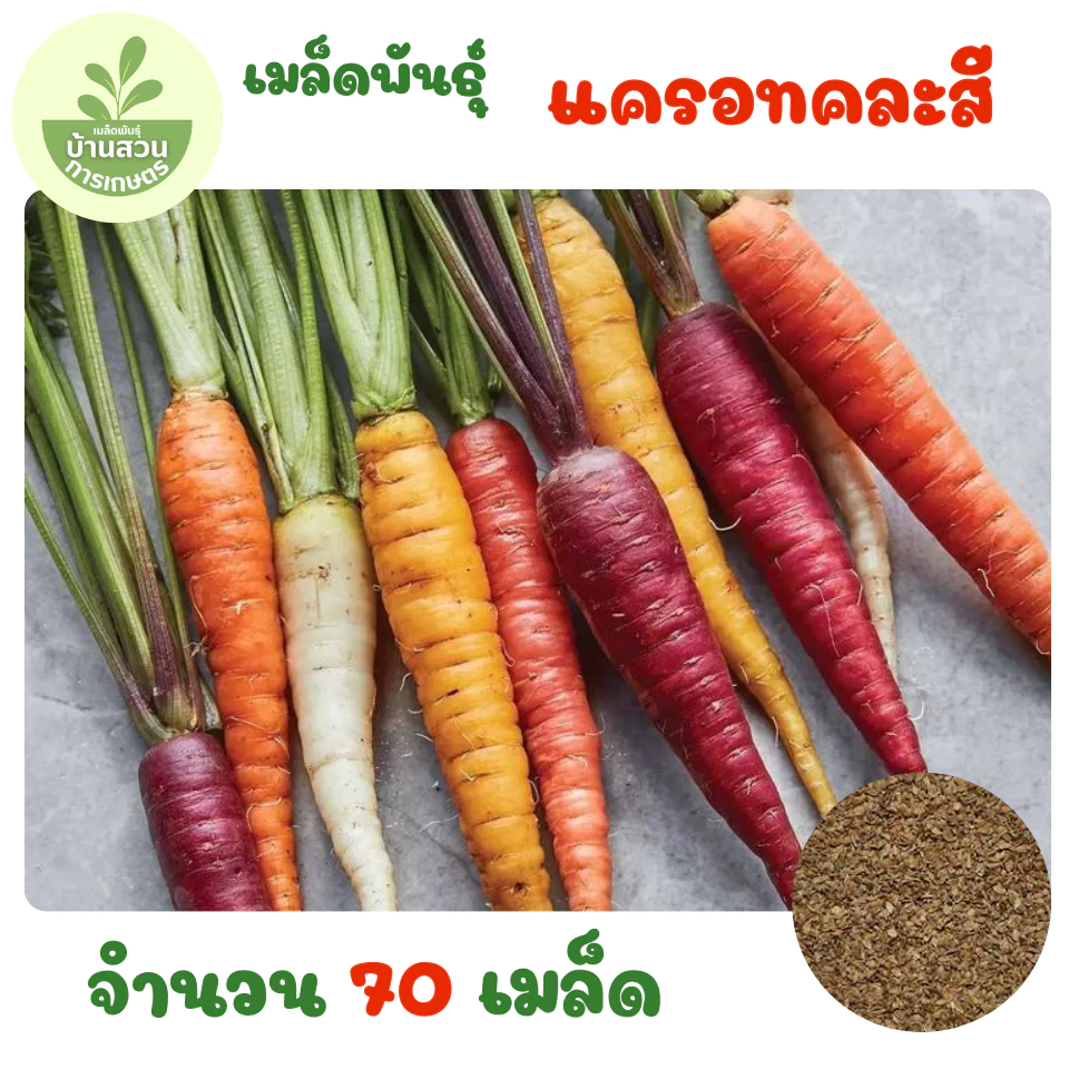 เมล็ดพันธุ์แครอทคละสี จำนวน 70 เมล็ด