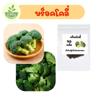 เมล็ดพันธุ์บร็อคโคลี่ จำนวน 70 เมล็ด