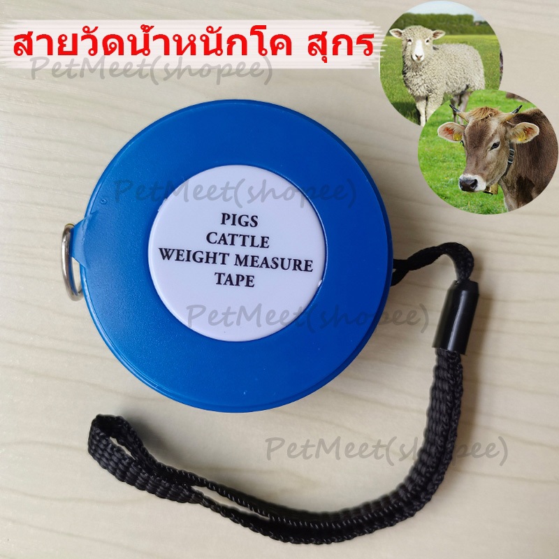 ถูก🎉สายวัดน้ำหนักวัว สายวัดน้ำหนักหมู สายวัดน้ำหนักโค สุกร/โค/แกะ ของแท้ กล่องฟ้า สายวัดน้ำหนักสัตว์