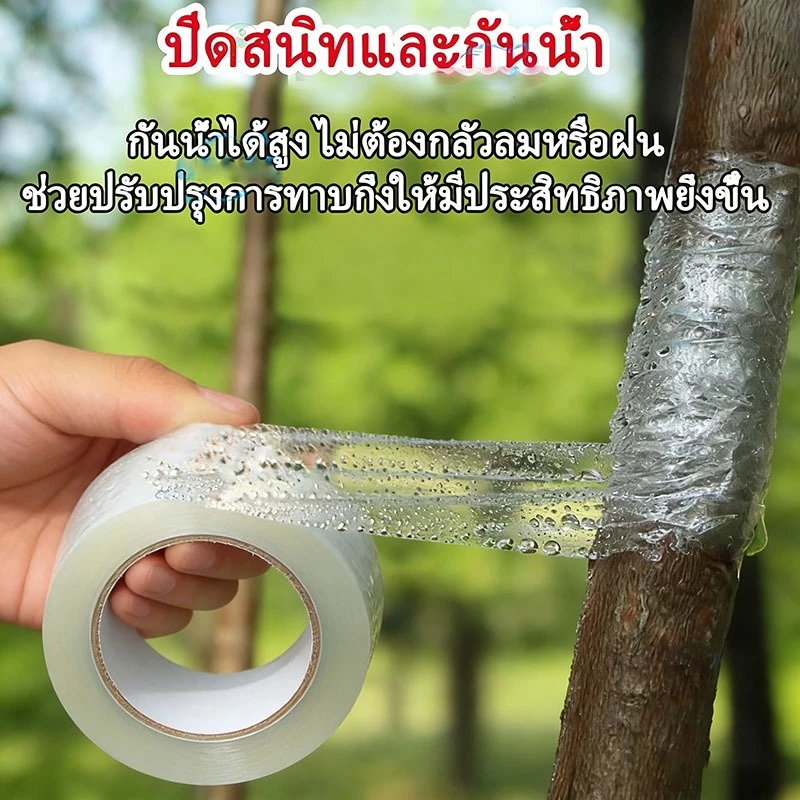 เทปพันกิ่งไม้ 3cm x 200m อุปกรณ์ตอนกิ่ง ทำสวน thumbnail 6