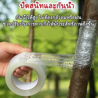3cmx200m เทปพันกิ่งไม้ อุปกรณ์ทำสวน เทปพันตอนกิ่ง อุปกรณ์การเกษตร เทปพันกิ่งทาบ พลาสติกทาบกิ่ง เทปติดตาต้นไม้ฟิล์มยืด