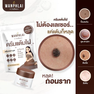 ครีมแต้มไฝ ว่านไพล ขี้แมลงวัน ติ่งเนื้อ หูด ตาปลา แก้ปัญหา สิวหิน ครีมกำจัดไฝว่านไพล ไฝ หูด จี้ไฝ แต้มไฝ ขนาด 5 กรัม