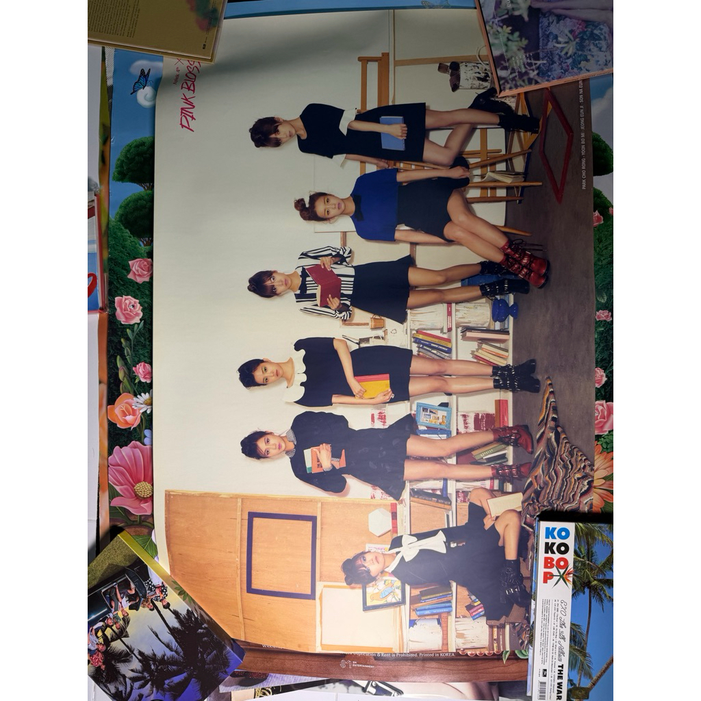 APINK [โปสเตอร์ ALBUM PINK BLOSSOM]