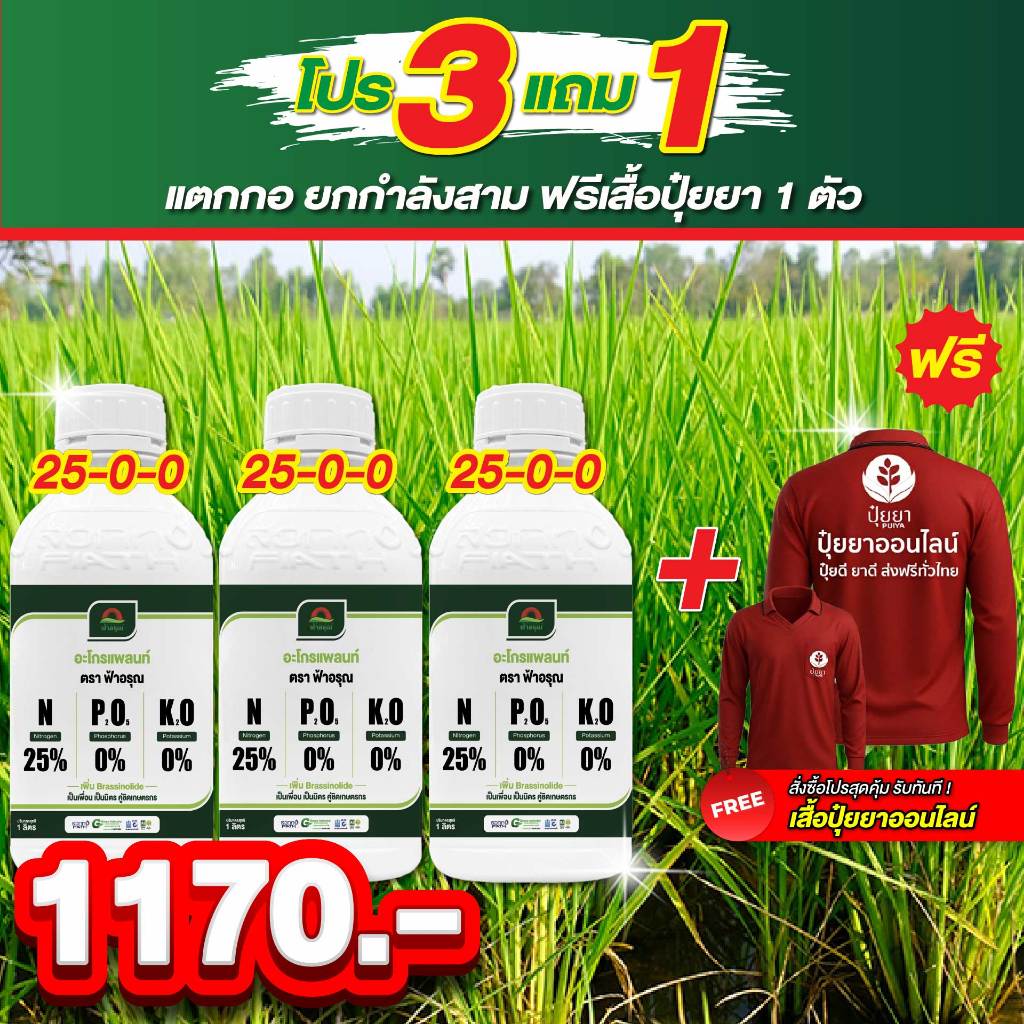ต้องการข้าวแตกกอ ใบเขียวเข้ม โตไว แตกกอแน่น ไนโตรเจนจัดเต็ม ใบตั้ง ลำต้นอวบ เร่งฟื้นหลังฝนได้เยี่ยม 25-0-0 ตัวแรงแตกกอไว ราคา ถูกที่สุด ดีลบีเคเค แกลเลอรีภาพที่ 7